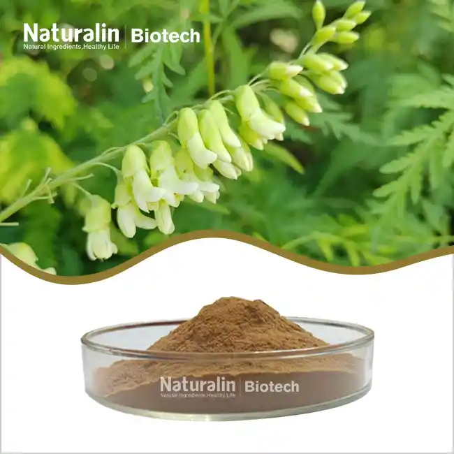 Sophora Japonica Extract Powder